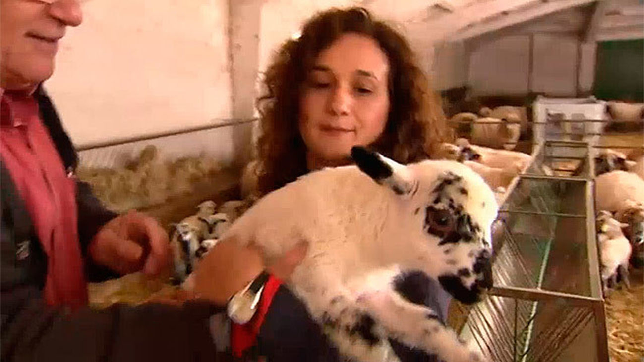 Aranjuez: Centro de investigación animal La Chimenea