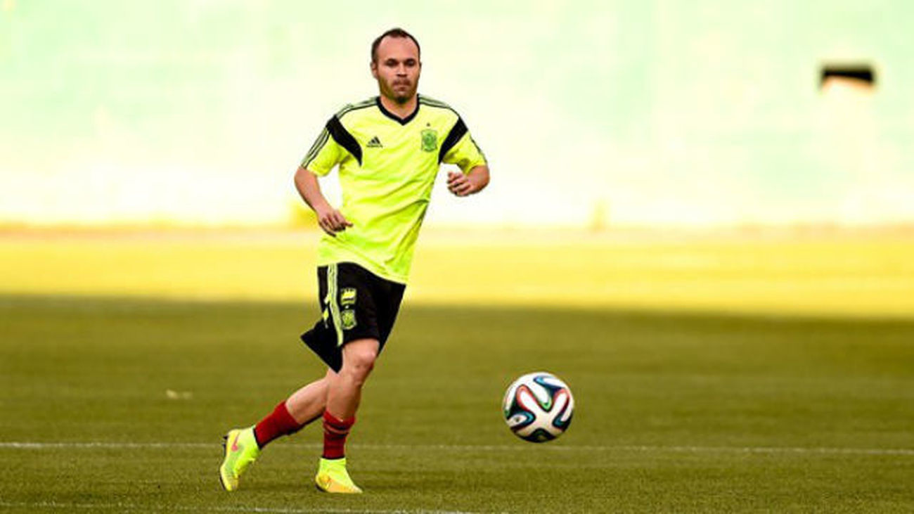 Andrés Iniesta, Selección Española
