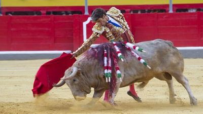 José Tomás sufre fractura de una costilla, según las últimas pruebas