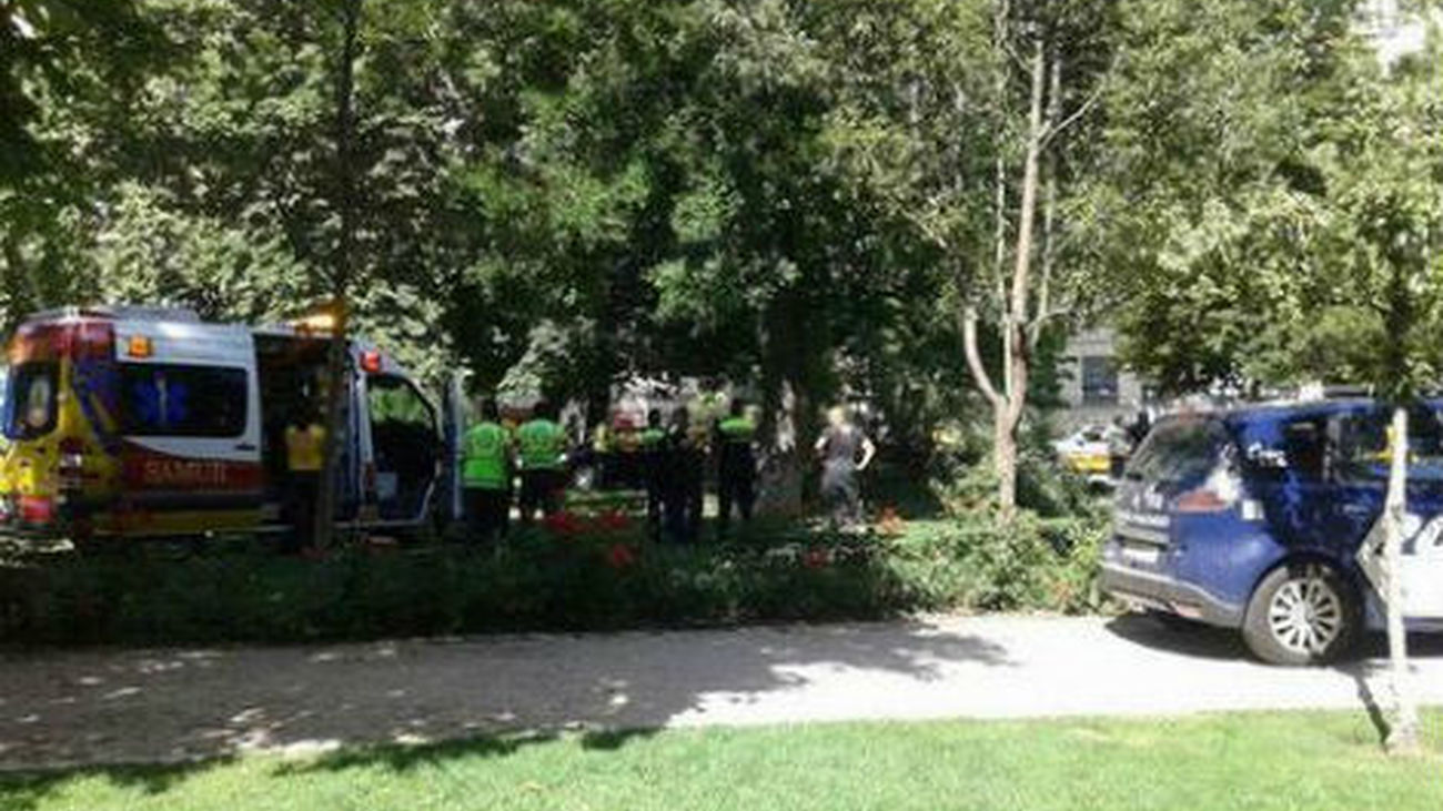 Un hombre de 38 años muere tras caérsele encima una rama de un árbol en El Retiro