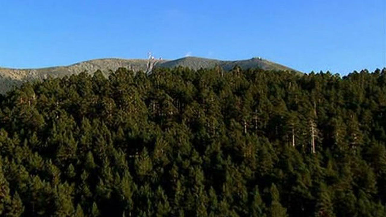 Parque Nacional del Guadarrama