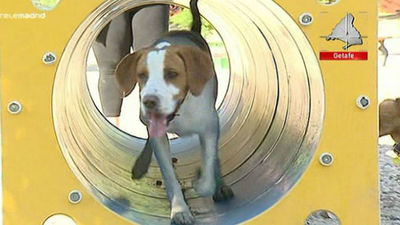 Getafe pone en marcha la primera área canina con 6.500 metros cuadrados