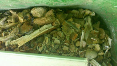 Aparecen "restos humanos" en contenedores de basura del cementerio de Torrejón