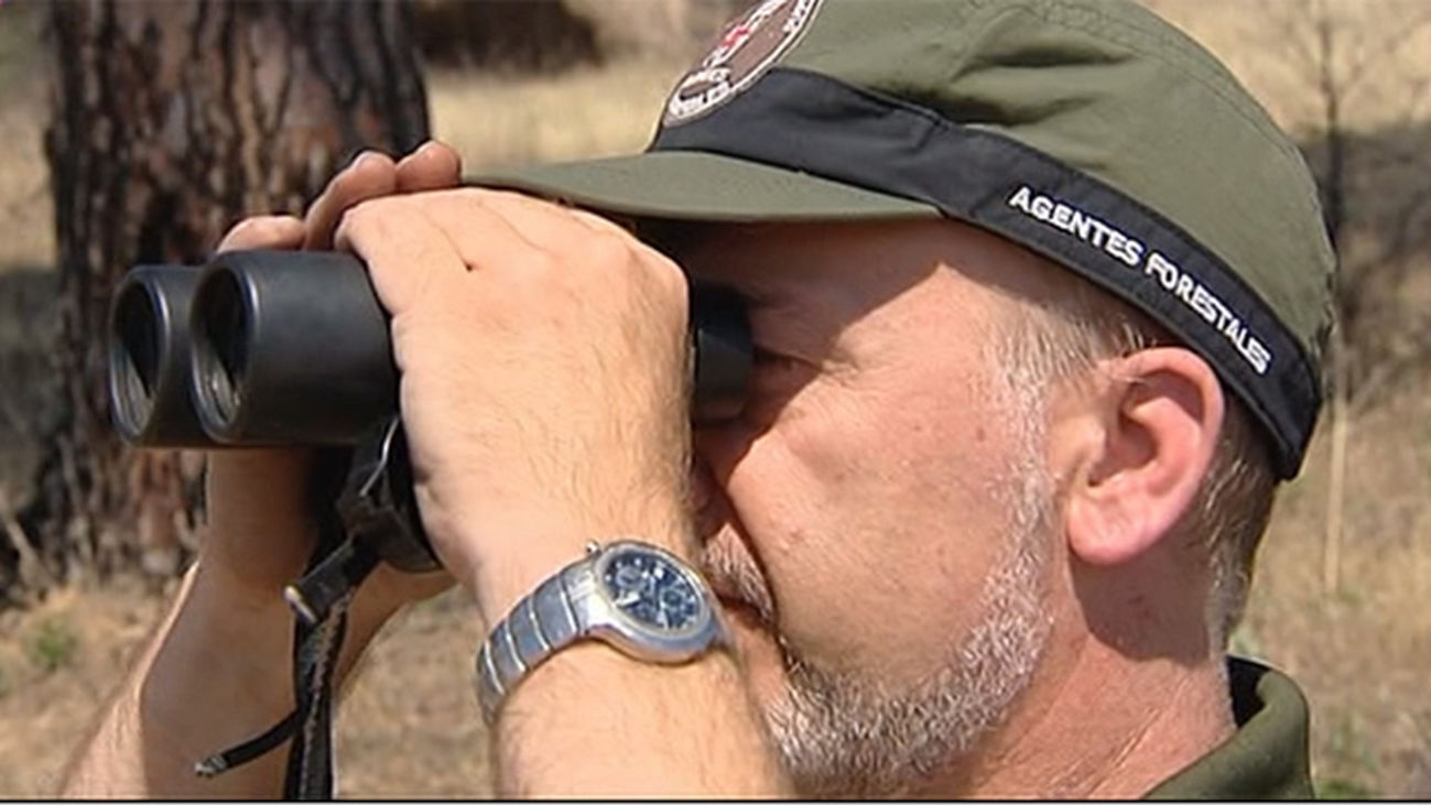 Vigilando los montes