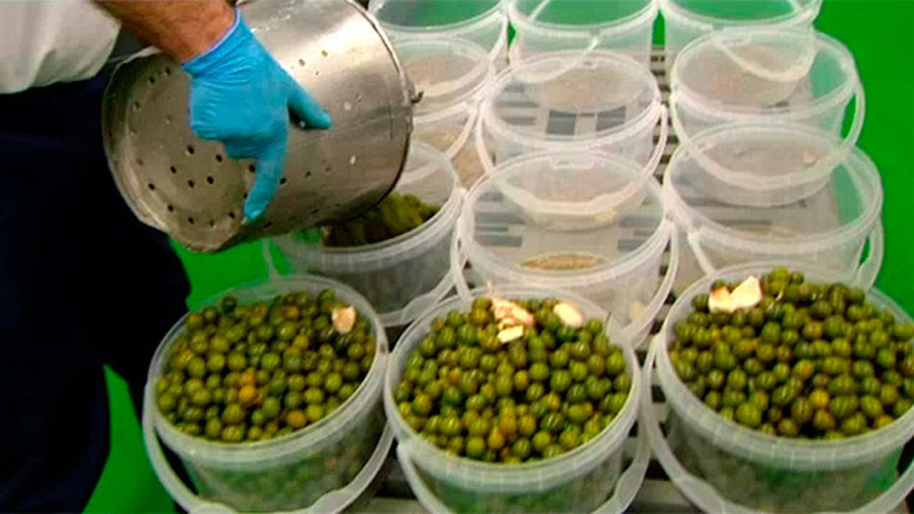 El secreto de las aceitunas de Campo Real