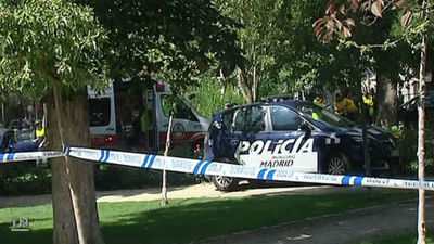 Cae otro árbol en Madrid y daña cuatro coches