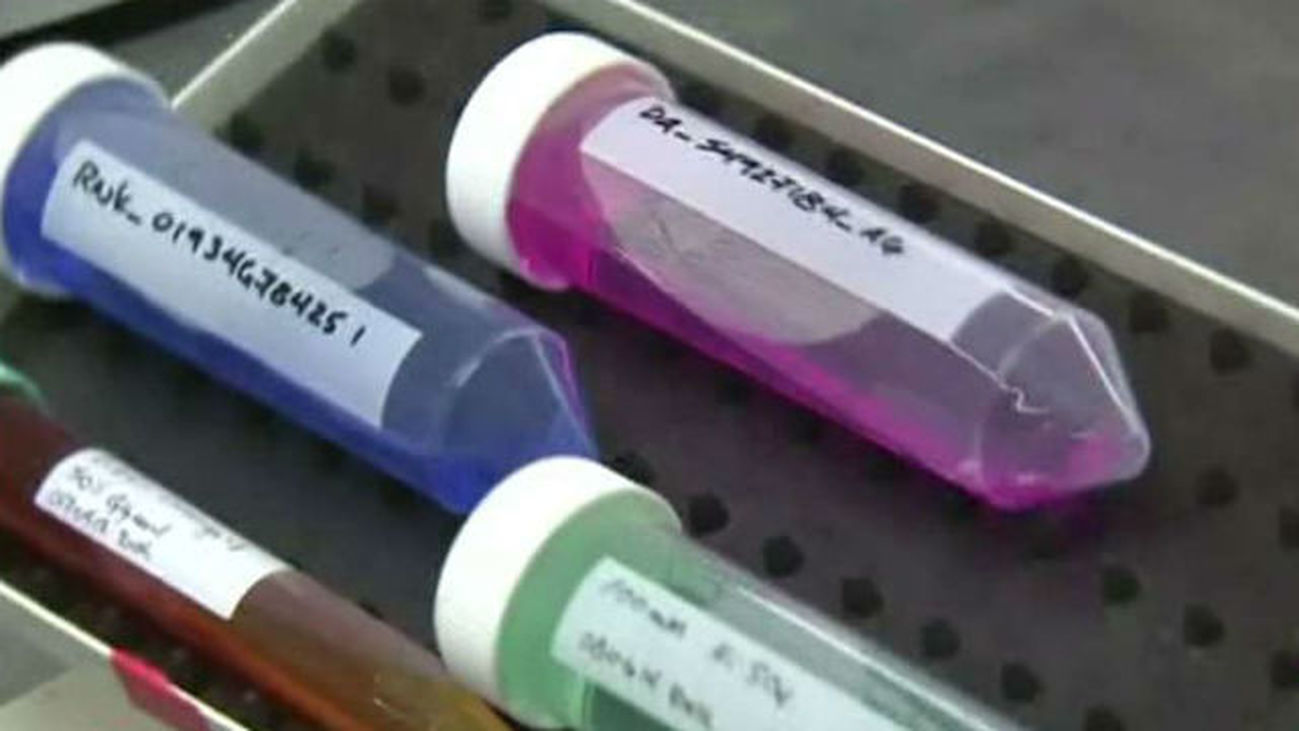 No habrá vacunas contra el ébola hasta enero del 2015, asegura la OMS