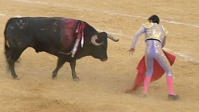 Toros desde Cenicientos