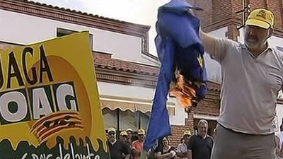 Bruselas destina 125 millones a ayudas para compensar el veto ruso a frutas y verduras