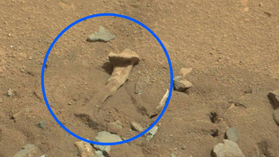Una roca marciana en forma de hueso crea un gran revuelo en Internet