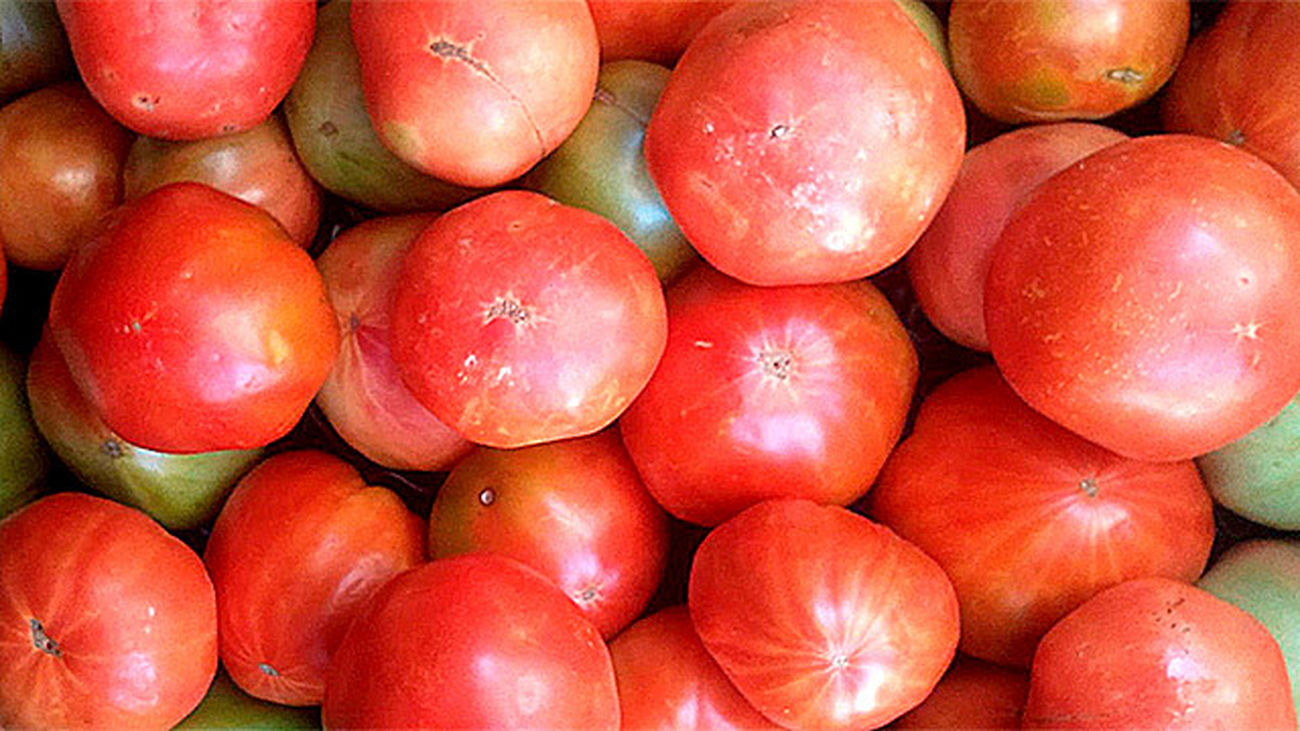 Tomates de Orusco de Tajuña