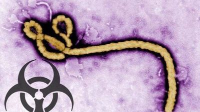 EE.UU. refuerza su plan contra el ébola con 3.000 militares y nuevos fondos