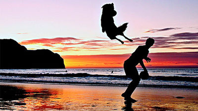 Disc Dog, un deporte para perros y amos