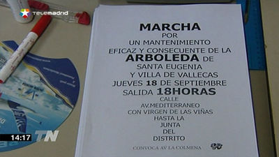 Vecinos de Vallecas exigen al Ayuntamiento el mantenimiento del arbolado
