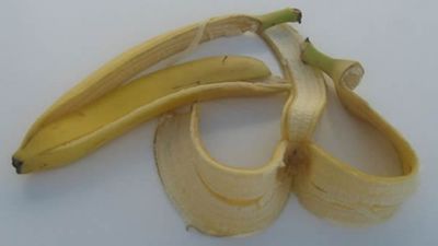 Premian un estudio japonés sobre capacidad deslizante de la piel de plátano