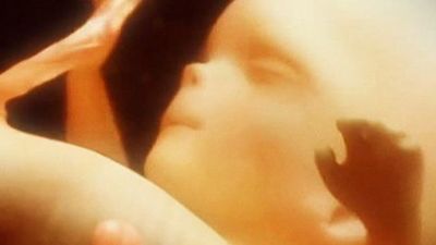 Gestación de un ser humano