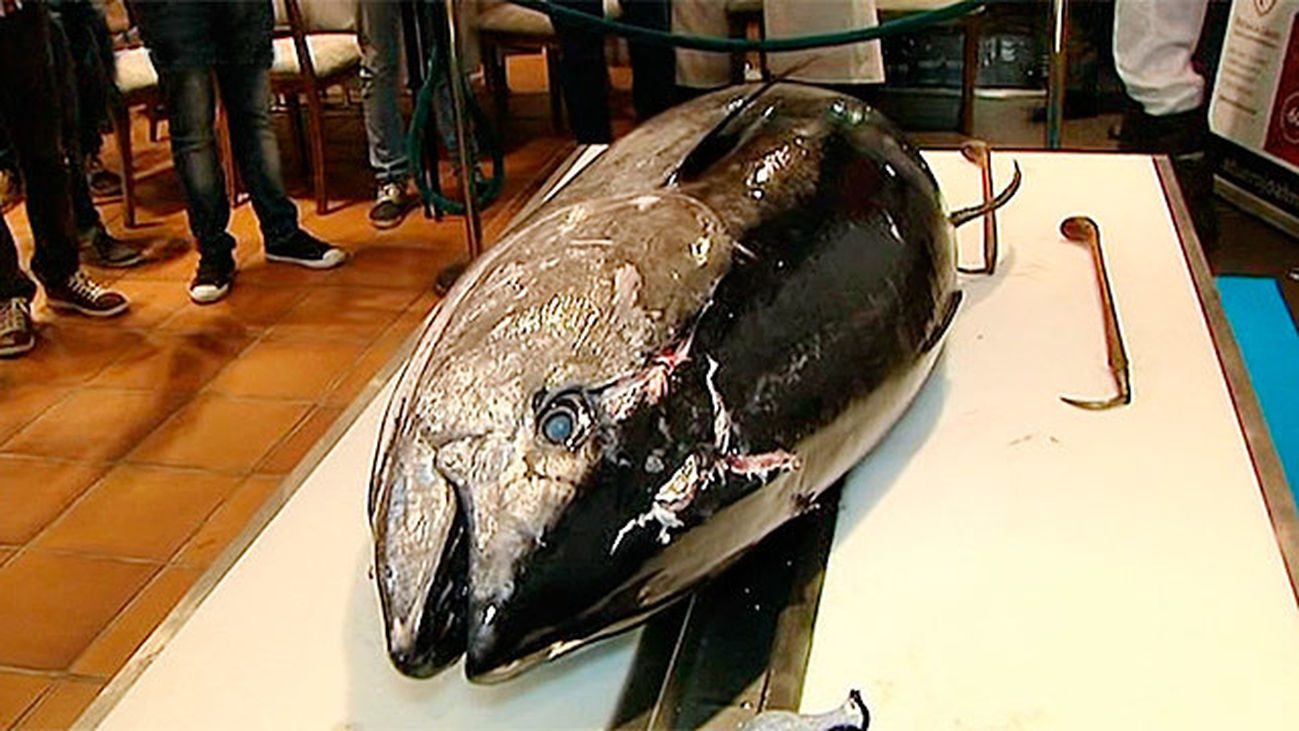 Ronque del atún rojo en Madrid