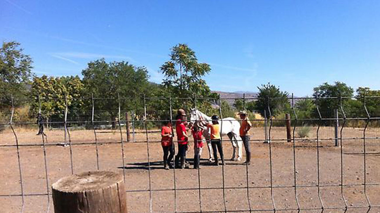 caballos_torremocha_madrid