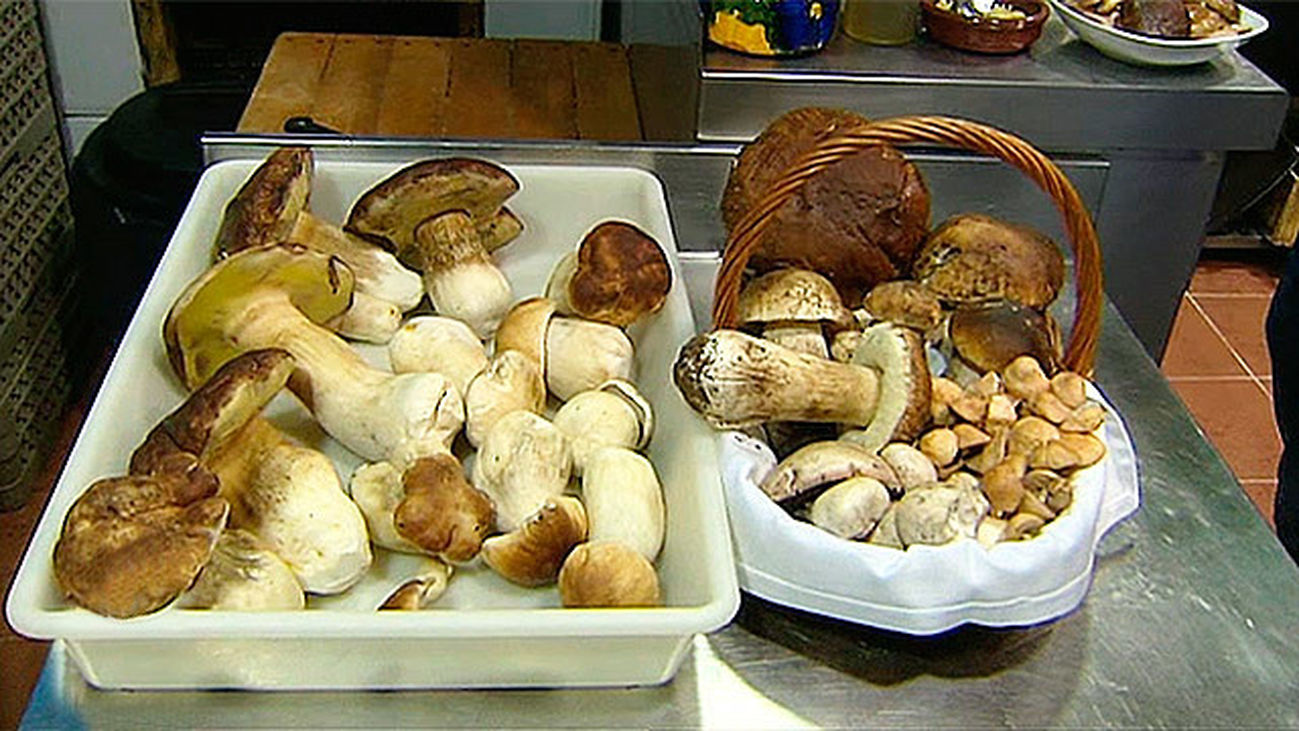 Cocinamos setas de temporada en Alameda del Valle