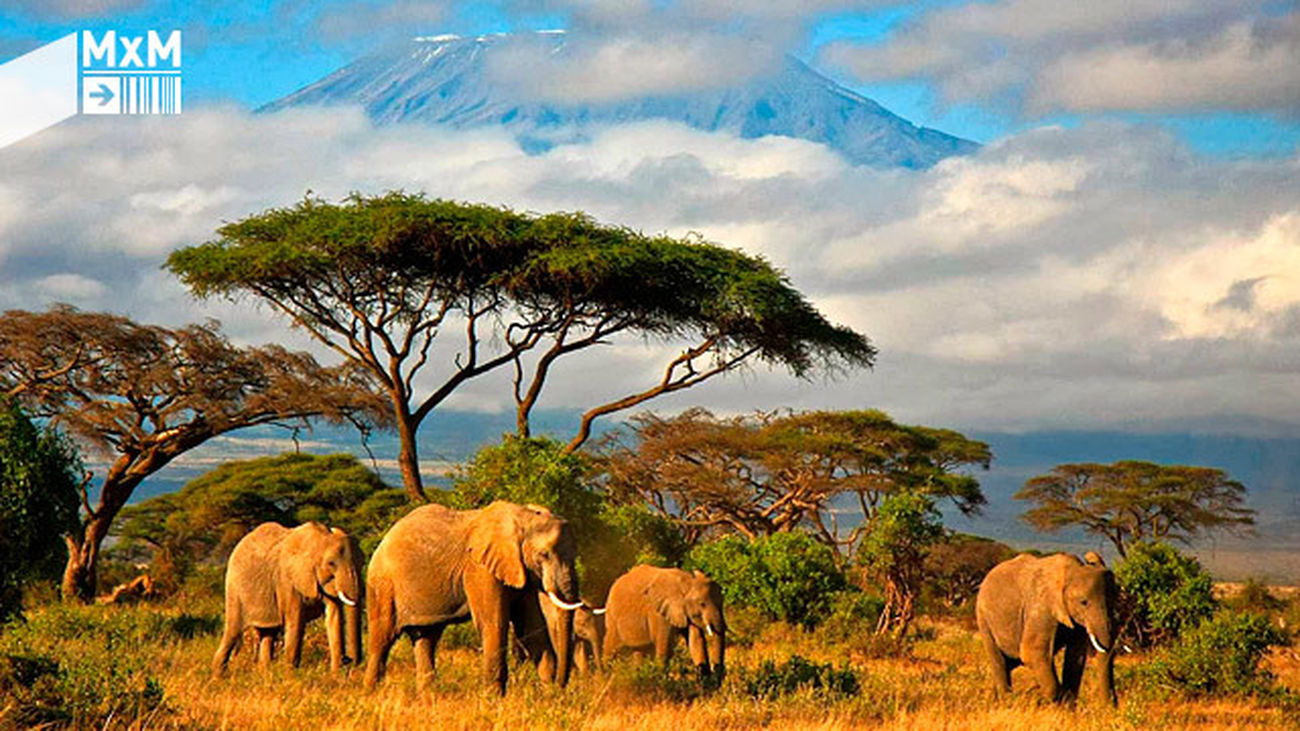 Tanzania, un país que anima a la aventura