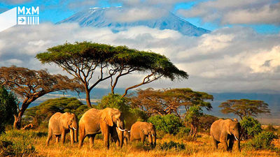 Madrileños por el mundo: Tanzania