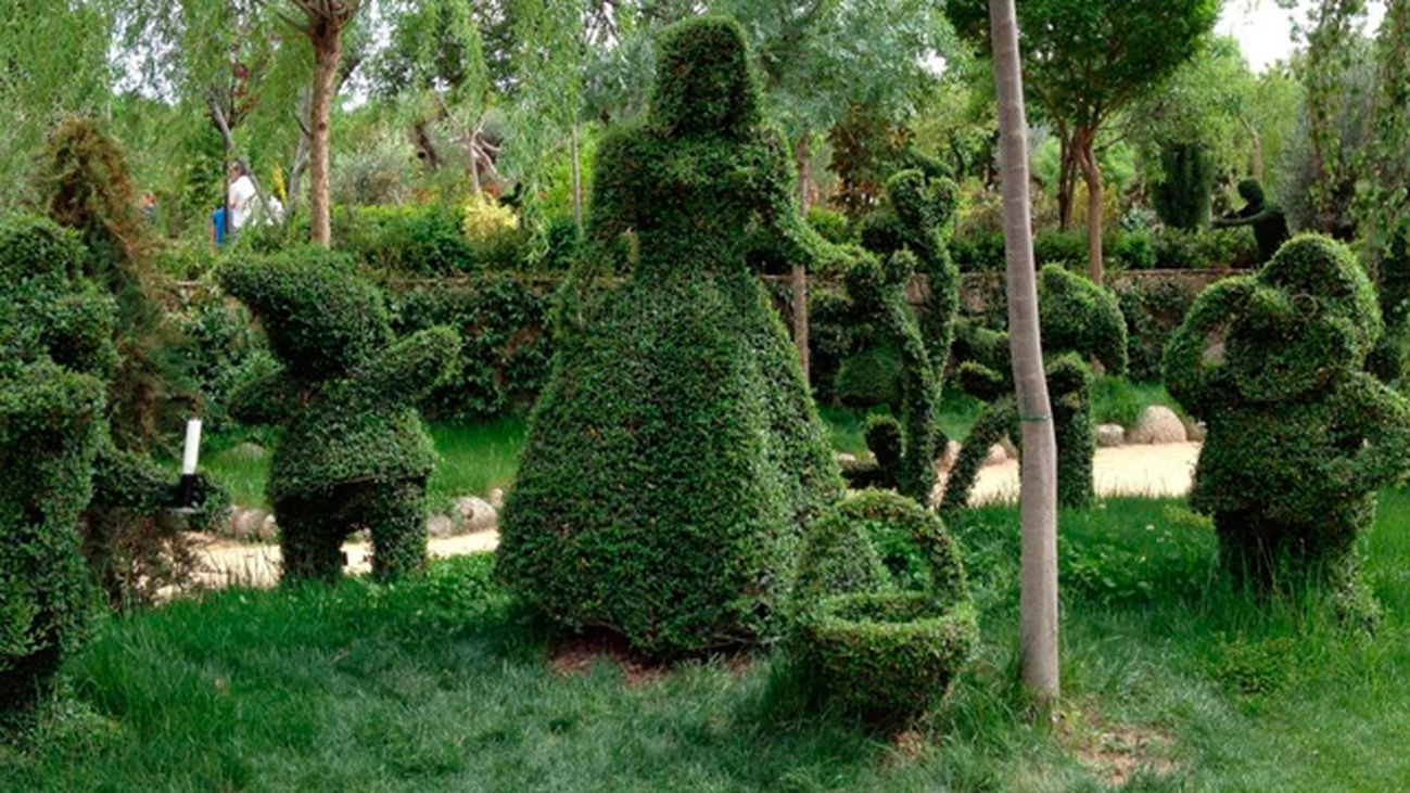 San Martín de Valdeiglesias: El bosque mágico