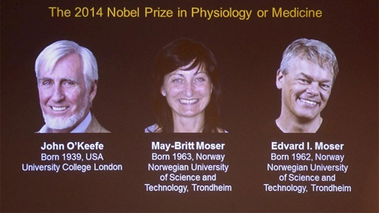 Un estadounidense y dos noruegos ganan el Nobel de Medicina
