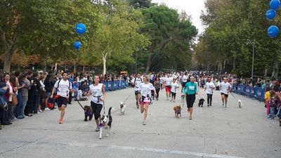 La carrera Perrotón contra el abandono animal regresa este domingo Madrid