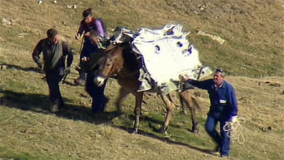 Retiran con mulas de carga residuos en zonas de difícil acceso del Parque Nacional