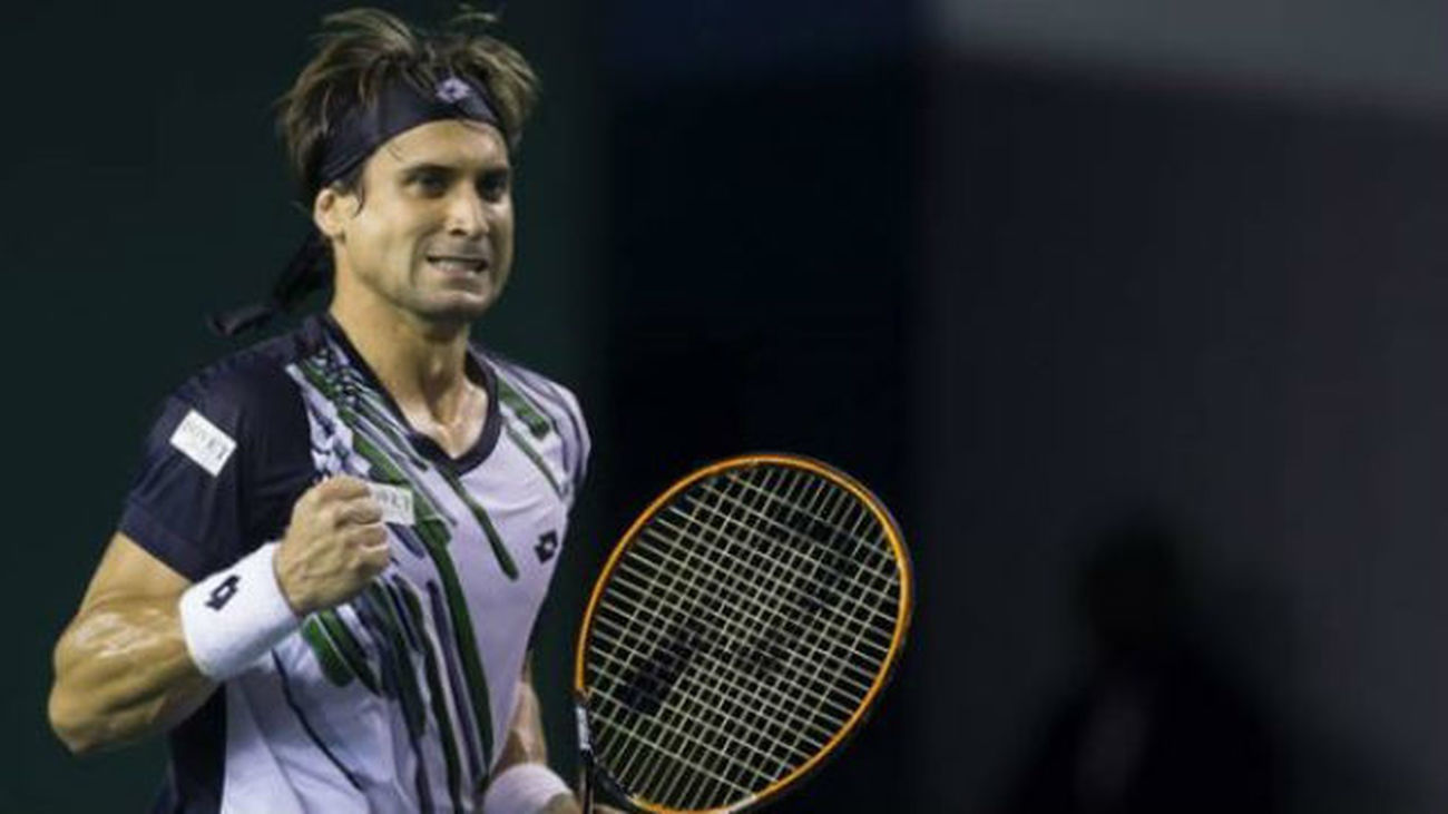 David Ferrer