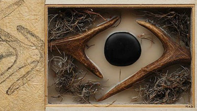 'El aura de los ciervos' de Miguel Ángel Blanco