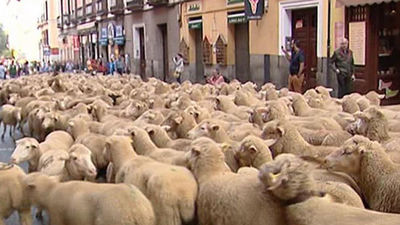 Cortes de tráfico este domingo por la Fiesta de la Trashumancia y una carrera