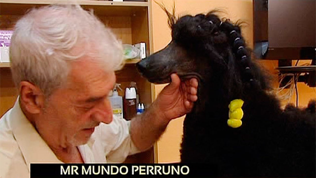 Conocemos al 'mister' de los perros
