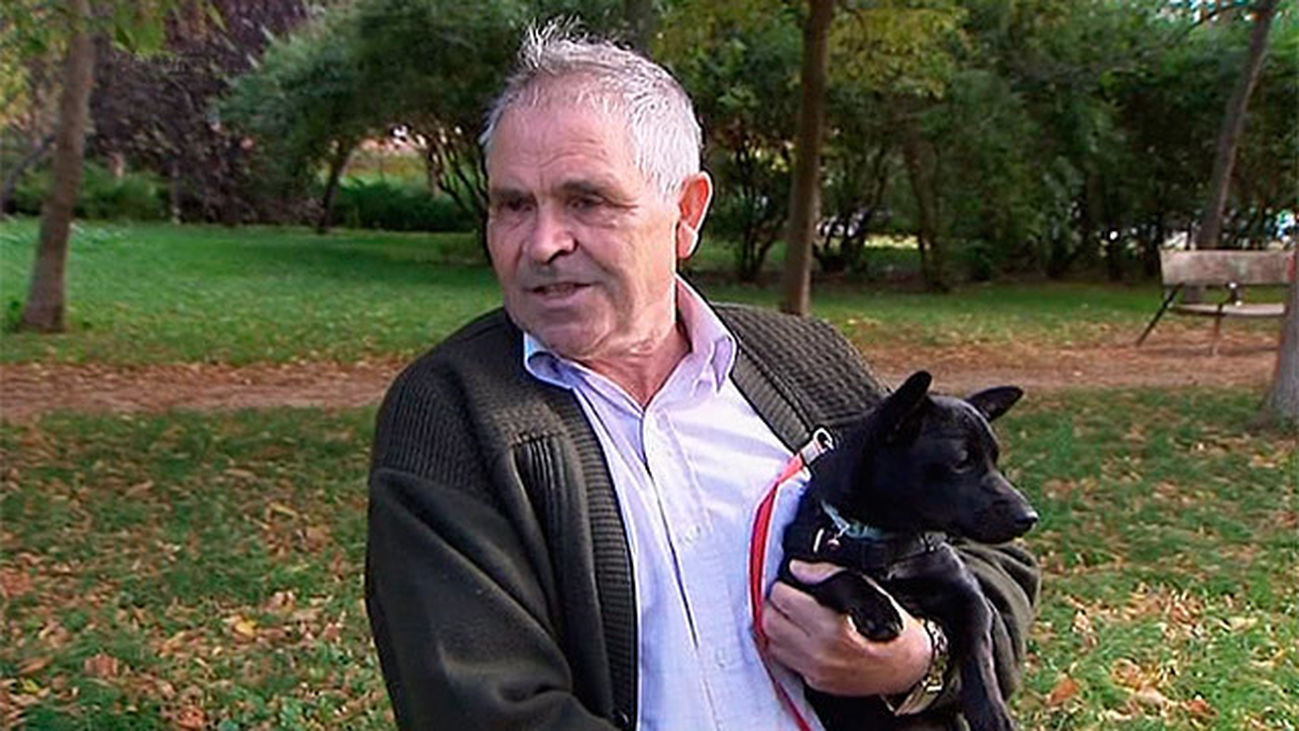 El barrio más 'perruno' de Madrid