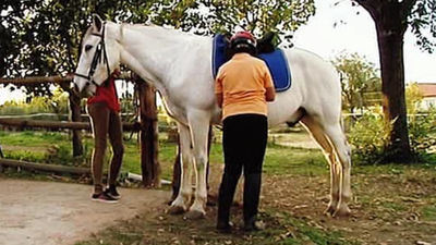 Hipoterapia opara chavales