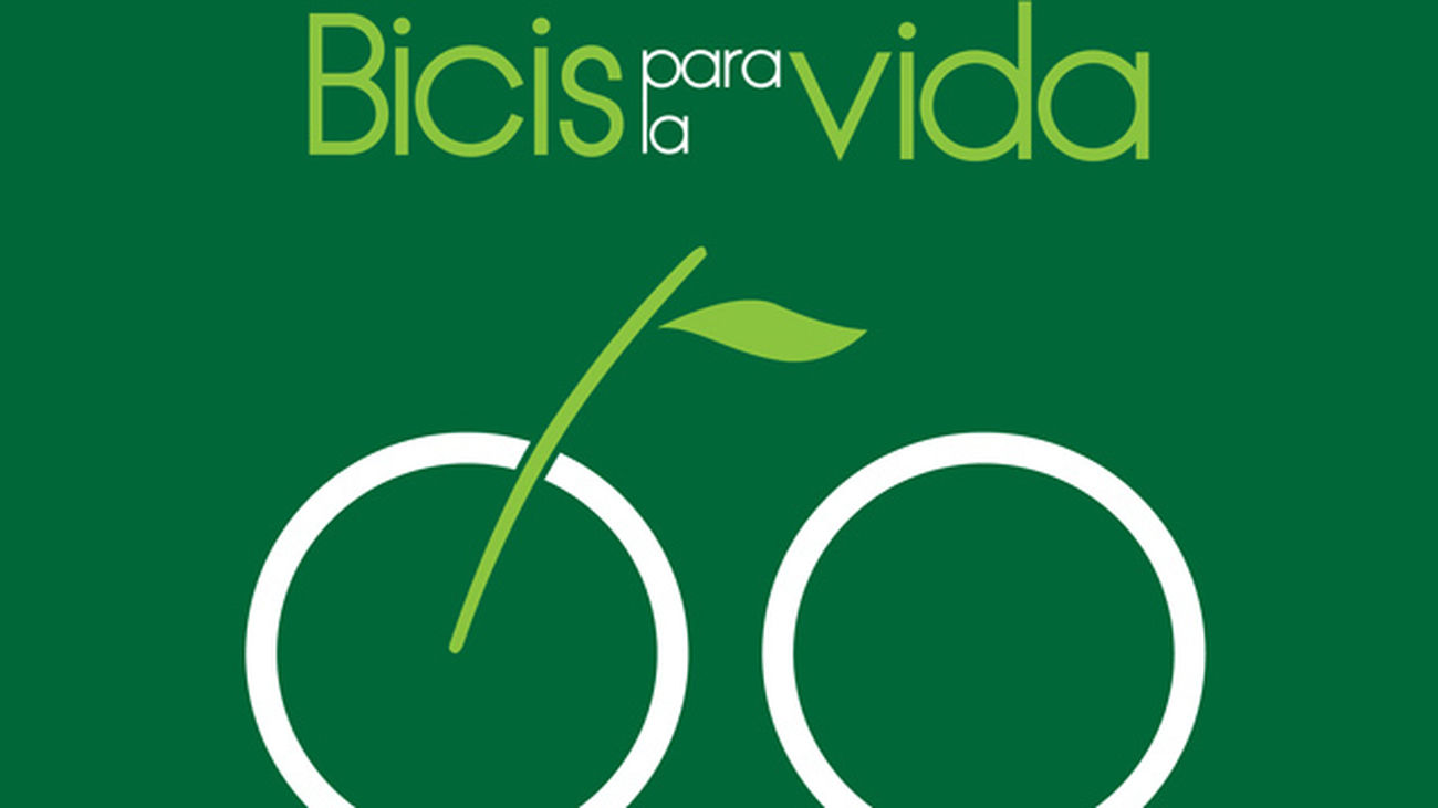 logoBici21s