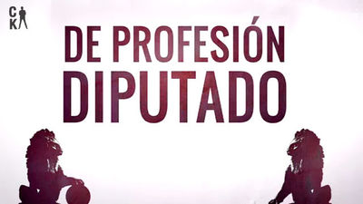 Ciudadano Cake: De profesión, diputado