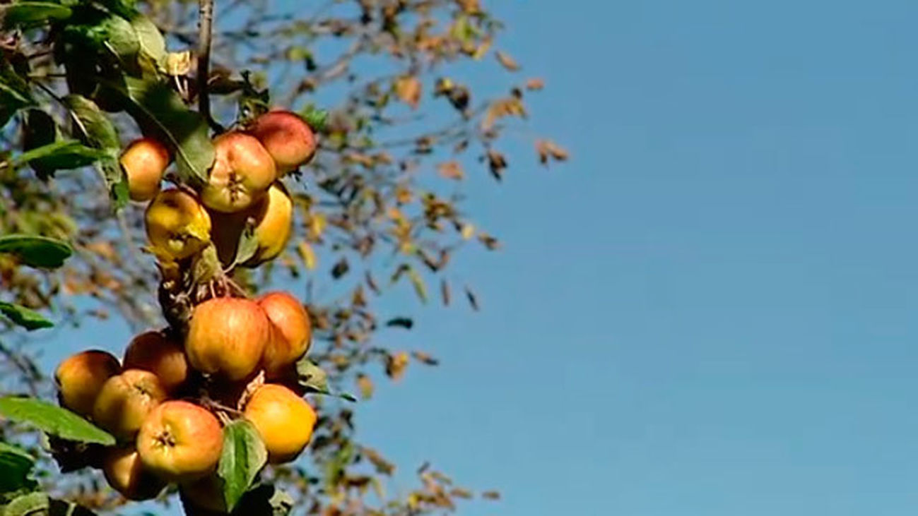 La Hiruela: Así se abastacen los huertos