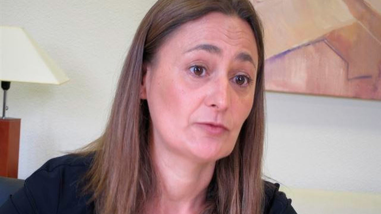 La secretaria de Empleo del PSOE, Luz Rodríguez