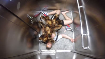 Los mejores vídeos de YouTube del 2014