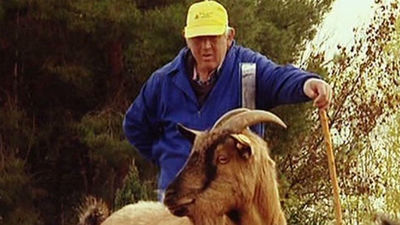 Ayudas a la discapacidad