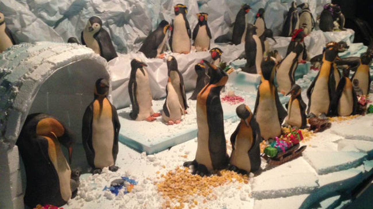 Belén de pingüinos en Faunia