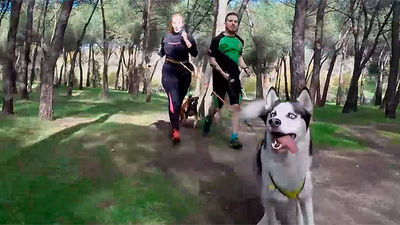 Alberto y Susana descubren el canicross