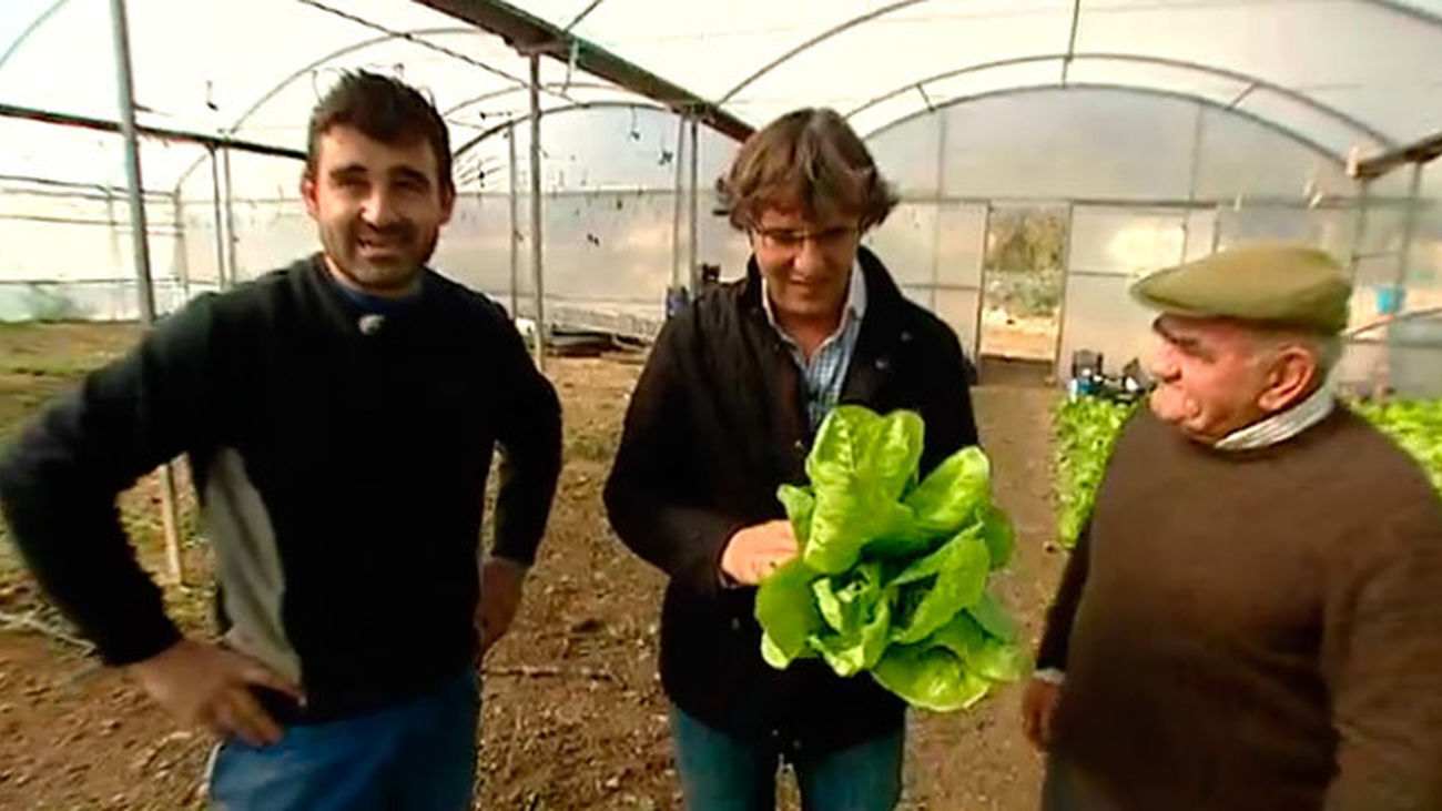 Colmenar de Oreja: Las huertas de Colmenar