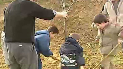 El Bosque de los Ciudadanos de Valdebebas permite a los vecinos plantar sus propios árboles