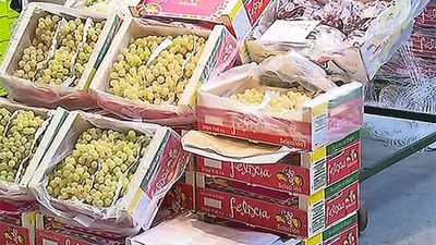 Los españoles comerán dos millones de kilos de uvas esta nochevieja