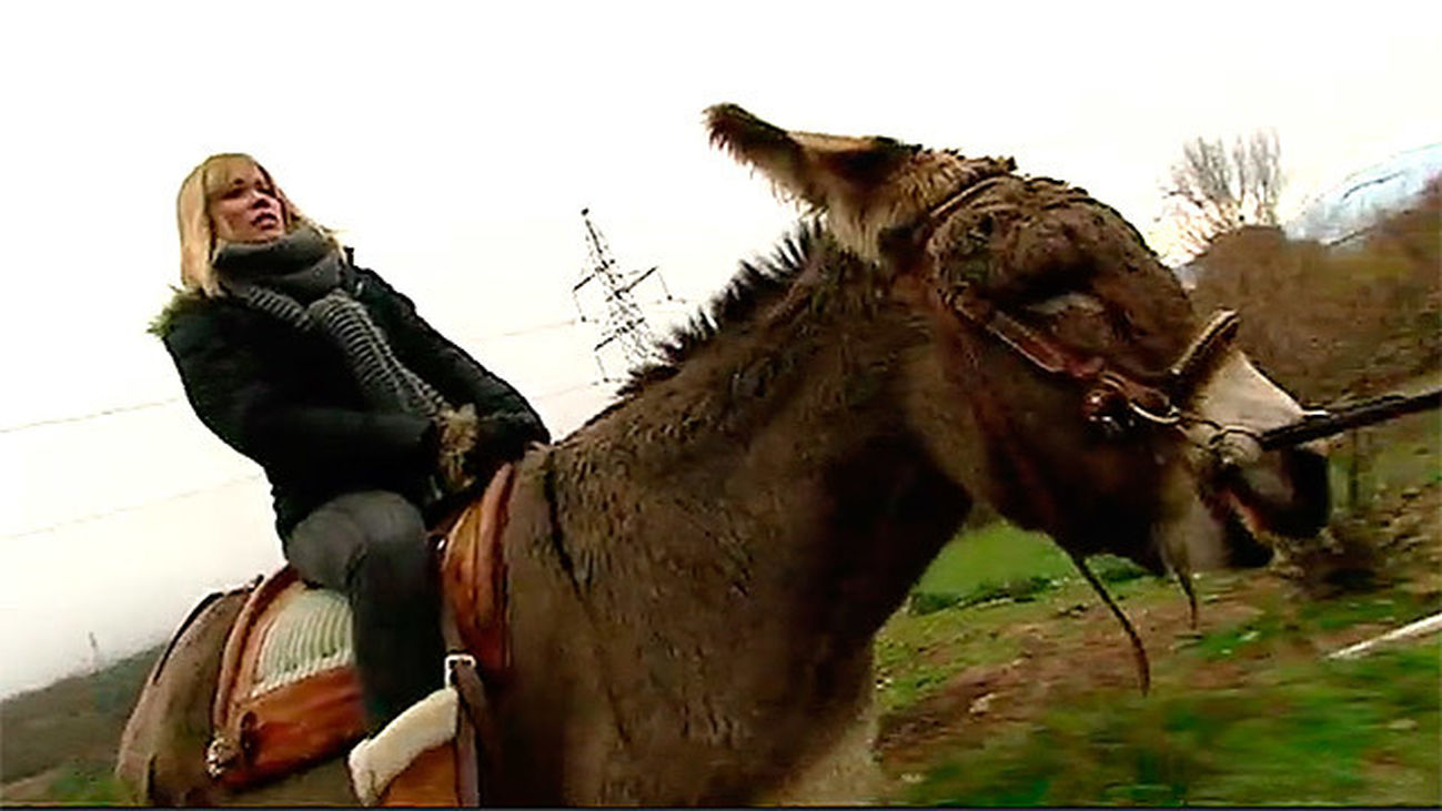 Somosierra: Una ruta a lomos de burros muy cariñosos