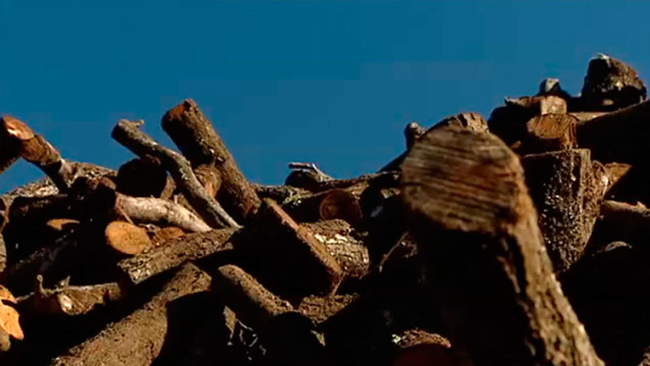 Anchuelo: La leña que nos calienta