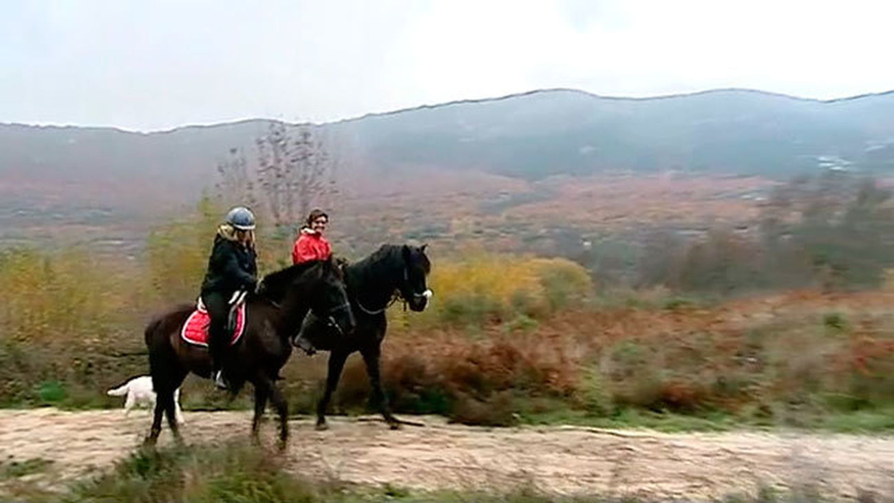 Bustarviejo: Paseos a caballo por el valle