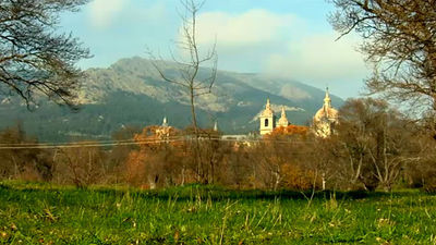 El Encantador de Setas: Cazando setas de cardo en El Escorial